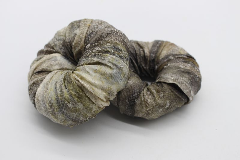 魚皮繞發(fā)泡圈